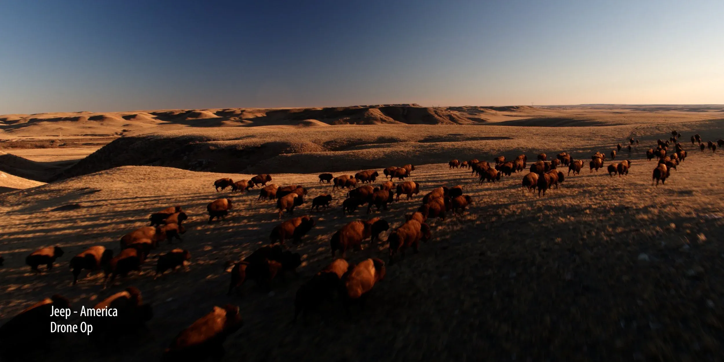 Aerial of a bison herd crossing the Wyoming plains, filmed for Jeep’s “America” commercial
